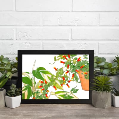 Infidu vintage wall art with green leaves, red-orange flowers, and a potted plant, framed in black on a white background for an elegant look. displayed on the wall art in a black frame