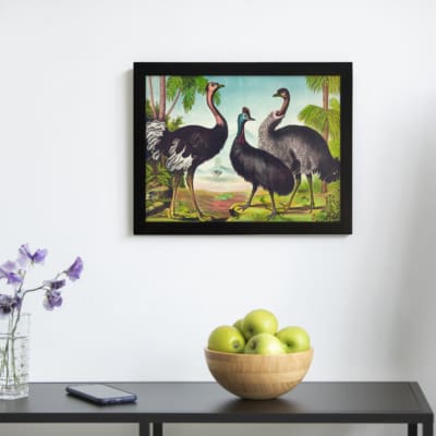 Three large tropical birds standing in a colorful vintage landscape with palm trees, grassy ground, and distant hills. displayed on the wall in a black frame