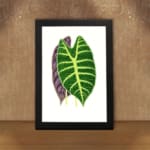 Twin leaf illustration in green and purple on white background, vintage botanical wall art displayed on the wall in a black frame