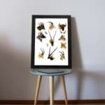 Vintage antelope and deer illustration with detailed wildlife sketches in brown, beige, and black on a white background. displayed on the table in a black frame