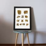 Vintage wild cat illustration featuring lions, tigers, lynxes, and more in a detailed, scientific style on a plain white background. displayed on the wall in a table frame