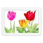 Infidu Vintage Floral Wall Art with pink, red, and yellow tulips, green leaves, and a white frame on a white background. hung on the wall