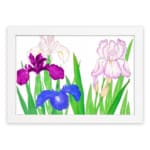 Vintage floral wall art with purple, blue, and pink flowers, green leaves, and a white frame on a white background. hung on the wall