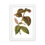 Vintage botanical wall art with green leaves and bright pink veins on a white background. hung on the wall