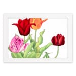 Vintage floral wall art with red, pink, and orange tulips, green leaves, and a white frame on a white background. hung on the wall