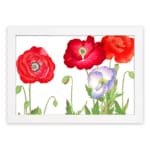 Vintage floral wall art with red and purple-white poppies, green leaves, and a white frame on a white background. hung on the wall