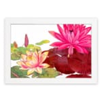 Vintage floral wall art featuring pink, red, and yellow lotus flowers with green leaves on a white background, framed in white. hung on the wall