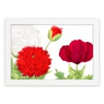 Infidu Vintage Floral Wall Art with red flowers, green leaves, and a white frame on a white background. hung on the wall