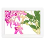 Vintage floral wall art with pink orchids, yellow centers, green leaves, and a white frame on a white background. hung on the wall