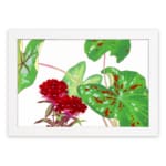 Infidu Vintage Floral Wall Art with red flowers and green leaves, framed in white for a classic look. hung on the wall