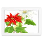 Vintage floral wall art with red and white flowers, green leaves, and a white frame on a white background. hung on the wall
