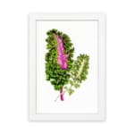 Infidu vintage wall art featuring two intricately detailed green plant leaves, one with a deep pink center, set against a clean white background. hung on the wall on a white background