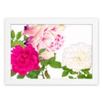 Infidu Vintage Floral Wall Art with pink, cream, and white flowers, green leaves, and a white frame on a white background. hung on the wall.