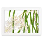 Vintage floral wall art with white orchids and green leaves, framed in white for a classic and elegant look. hung on the wall