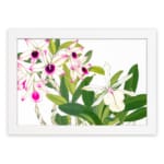 Vintage floral wall art with white and pink orchids, green leaves, and a white frame for an elegant and classic look. hung on the wall