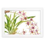 Infidu Vintage Orchid Floral Wall Art with white, pink, and purple orchids, yellow centers, and green leaves on a white background. hung on the wall on a white background