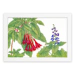 Infidu Vintage Botanical Wall Art with red and blue flowers, green leaves, and a white frame on a white background. Classic floral vintage art. hung on the wall