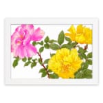 Infidu Vintage Botanical Wall Art with pink and yellow flowers, green leaves, and a white frame on a white background. hung on the wall