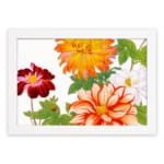 Vintage floral wall art with large orange, red, and white flowers, green leaves, and a white frame on a white background. hung on the wall