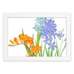 Vintage floral wall art with orange and blue flowers, green leaves, and a white background, framed in white for a classic and elegant look. hung on the wall