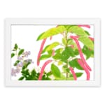 Vintage floral wall art with green leaves and hanging pink flowers on a white background, framed in white for a classic and elegant look. hung on the wall