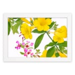 Infidu Vintage Floral Wall Art with yellow and pink flowers, green leaves, and a white frame on a white background. hung on the wall