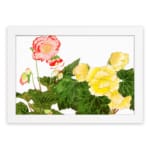 Infidu vintage wall art with detailed floral vintage art design, featuring pink, red, and yellow flowers with green leaves on a white background. hung on the wall on a white background