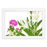 Infidu vintage wall art with delicate white and pink flowers, green leaves, and a black frame on a white background for a timeless botanical look. hung on the wall on a white background