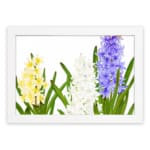 Infidu vintage wall art with yellow, white, and purple flowers, green leaves, and a black frame on a white background for a timeless botanical look. hung on the wall on a white background