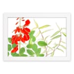 Infidu vintage wall art with bright red flowers and green leaves, set against a white background and framed in white for a classic and elegant look. hung on the wall