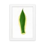 Minimalist green leaf design with yellow outline and dotted edges on white background, framed in white, vintage wall art. hung on the wall