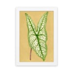 Vintage botanical wall art showing a detailed green leaf with bold veins on a soft beige background. hung on the wall
