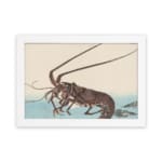 Infidu vintage wall art featuring a detailed Japanese lobster design with flowing legs, fine lines, and soft beige and blue tones. hung on the wall on a white background