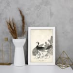 Black-and-white vintage peacock illustration with fine details in a classic artistic style, framed for elegant wall decor. displayed on the wall