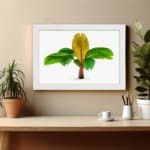 Vintage wall art of a banana plant with green and yellow leaves on a white background, framed in white for an elegant touch. displayed on the wall