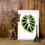Vintage wall art featuring a bold green leaf with a dark starburst pattern on a white background. displayed on the wall in a white frame