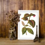 Vintage botanical wall art with green leaves and bright pink veins on a white background. displayed on the wall in a white frame