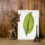 Vintage botanical wall art featuring a detailed green leaf with dark vein patterns on a white background, displayed on the wall in a white frame
