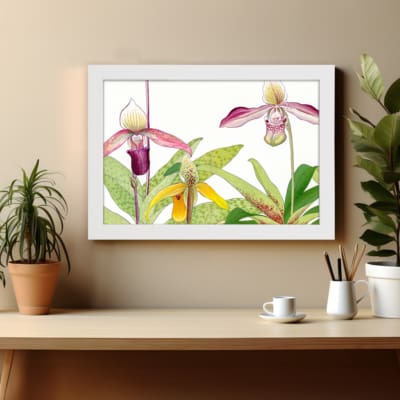 Vintage orchid wall art featuring purple, pink, and yellow flowers with green leaves on a white background. displayed on the wall in a white frame