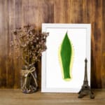 Minimalist green leaf design with yellow outline and dotted edges on white background, framed in black, vintage wall art. displayed on the wall in a white frame