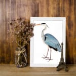 Vintage wall art of a graceful heron with blue and grey feathers on a white background, in a clean and minimalist style. displayed on the wall in a white frame