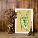 Vintage botanical wall art showing a detailed green leaf with bold veins on a soft beige background. displayed on the wall in a white frame