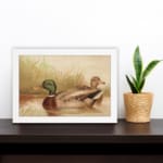 Infidu vintage wall art depicting two ducks swimming in a peaceful pond, surrounded by soft grass and gentle water waves, in calming green, brown, and beige tones. displayed on the wall art in a white frame