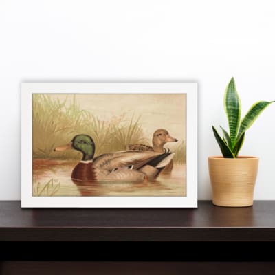 Infidu vintage wall art depicting two ducks swimming in a peaceful pond, surrounded by soft grass and gentle water waves, in calming green, brown, and beige tones. displayed on the wall art in a white frame