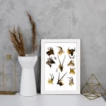 Vintage antelope and deer illustration with detailed wildlife sketches in brown, beige, and black on a white background. displayed on the wall in a white frame