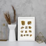 Vintage wild cat illustration featuring lions, tigers, lynxes, and more in a detailed, scientific style on a plain white background. displayed on the wall in a white frame