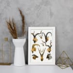 Vintage wall art of antelope and wild goat heads with curved horns in natural tones on a white background. displayed on the wall in a white frame