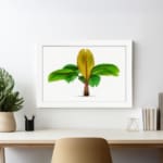 Vintage wall art of a banana plant with green and yellow leaves on a white background, framed in white for an elegant touch. displayed on the wall