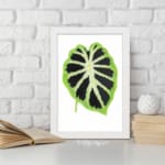 Vintage wall art featuring a bold green leaf with a dark starburst pattern on a white background. displayed on the wall in a white frame
