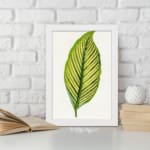 Vintage botanical wall art featuring a detailed green leaf with dark vein patterns on a white background, displayed on the wall in a white frame